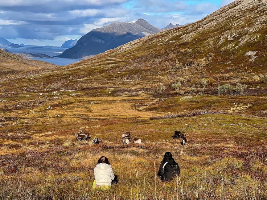 Tromso: Fjord Arctic Adventure Expedition - Lunch, a fire, and warm Arctic pauses