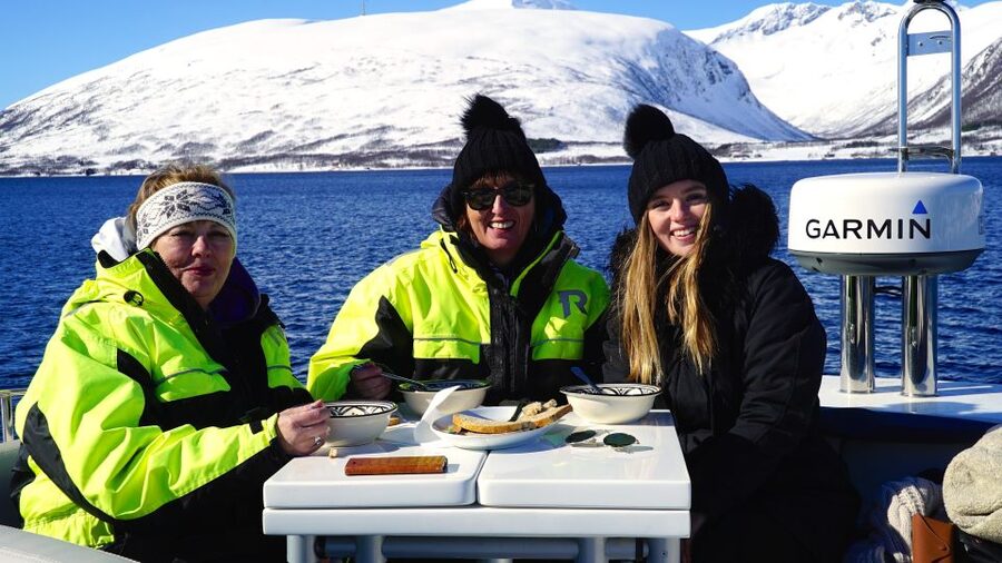 Tromsø: Fjord Cruise by Luxury Yacht - Starting beside Scandic Ishavshotel
