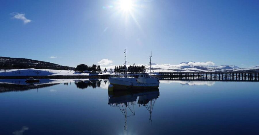 Tromsø: Fjord Cruise by Luxury Yacht - Fish soup on the return journey