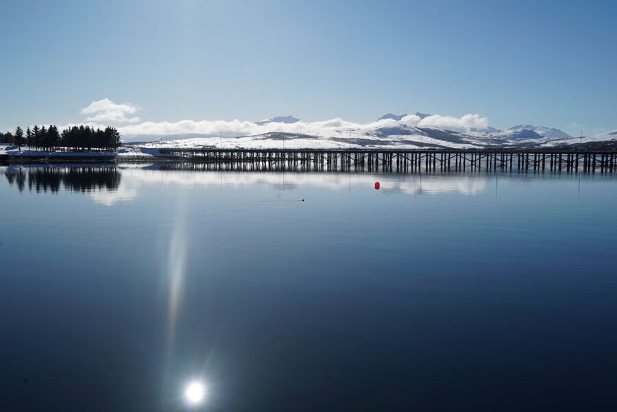 Tromsø: Fjord Cruise by Luxury Yacht - Getting ready for three hours on Arctic water