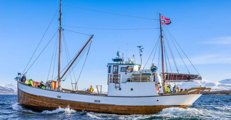 Tromsø: Fjord History Cruise with Snack and Drinks - Key points to know before boarding