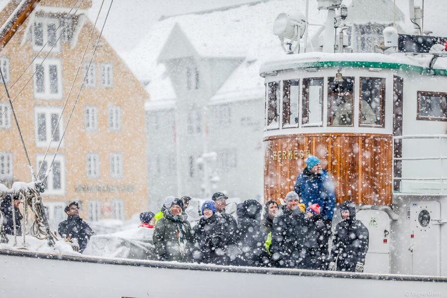 Tromsø: Fjord History Cruise with Snack and Drinks - Wildlife around the fjords
