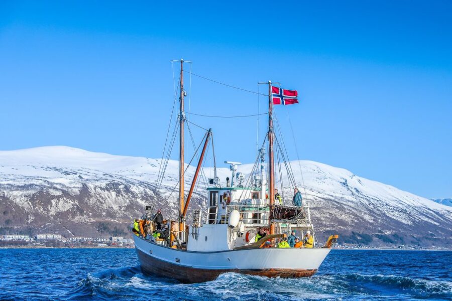 Tromsø: Fjord History Cruise with Snack and Drinks - What the $156 price really covers