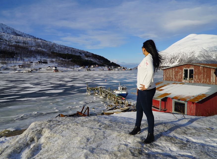 Tromsø: Fjord Sightseeing in a Tesla X Luxury Electric Car - Who will enjoy this Tromsø outing?