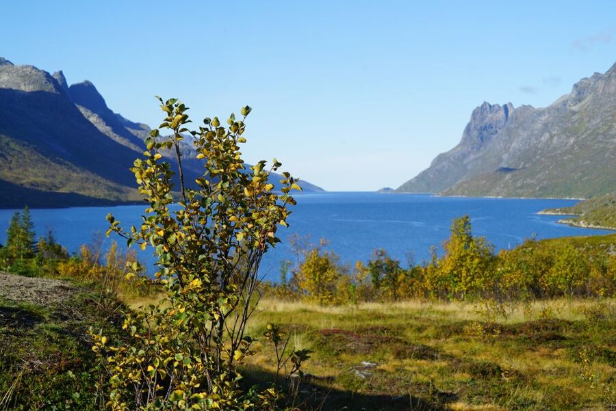 Tromsø: Fjord Sightseeing in a Tesla X Luxury Electric Car - Crossing Kvaløya for coastal scenery