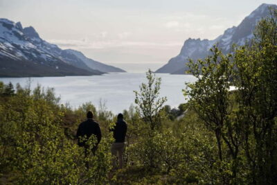 Fjord Tour and Visit to Sommarøy with Expert Tour Guide in Italian