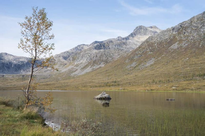 Tromsø: Fjord Tour and Visit to Sommarøy with Expert Tour Guide in Italian - The return route adds another view