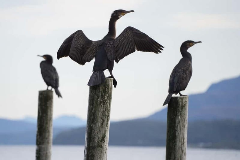 Tromsø: Fjord Tour and Visit to Sommarøy with Expert Tour Guide in Italian - What you learn along the way