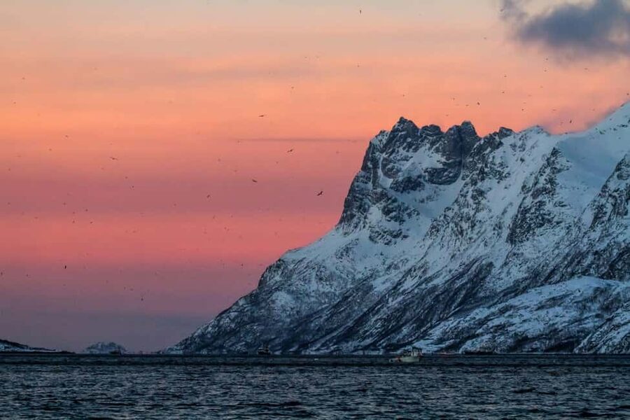 Tromsø: Fjord tour in a minibus to Sommarøy with fishsoup - Key points to know before booking