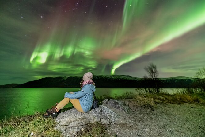 Tromsø Fjordland Aurora Chase Northern Lights by the Arctic Sea - Booking, cancellation, and weather rules