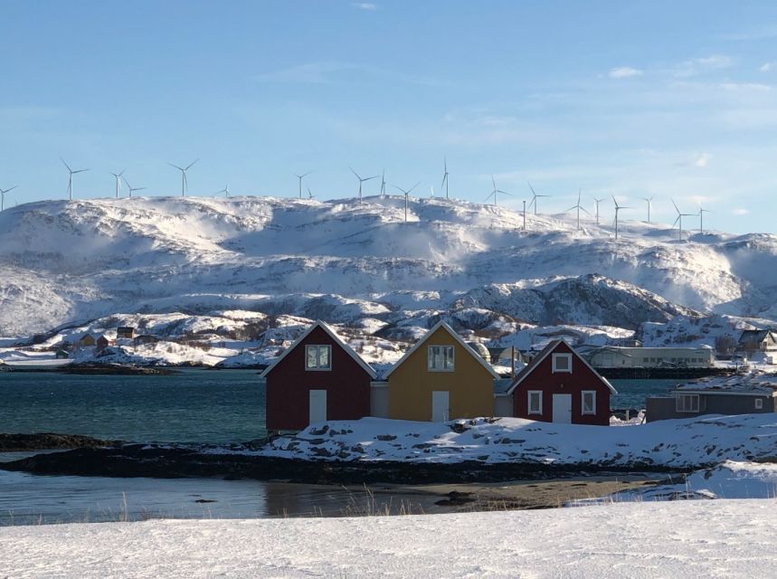 Tromsø: Fjords and Sommarøy Islands Tour with Salmon Picnic - Key points to know before you go