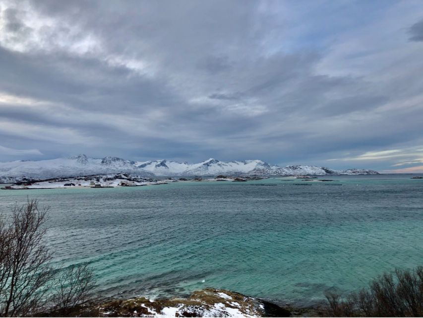 Tromsø: Fjords and Sommarøy Islands Tour with Salmon Picnic - A village stop with coffee and local flavor