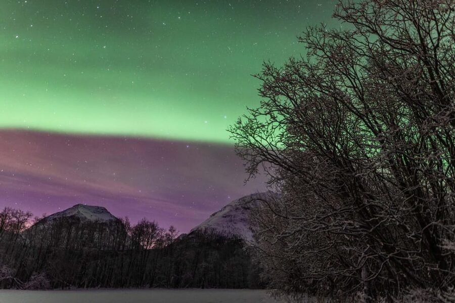 Tromsø: Fjords & Beaches Tour with Campfire and Arctic Food - Should you book the Tromsø fjords and beaches tour?