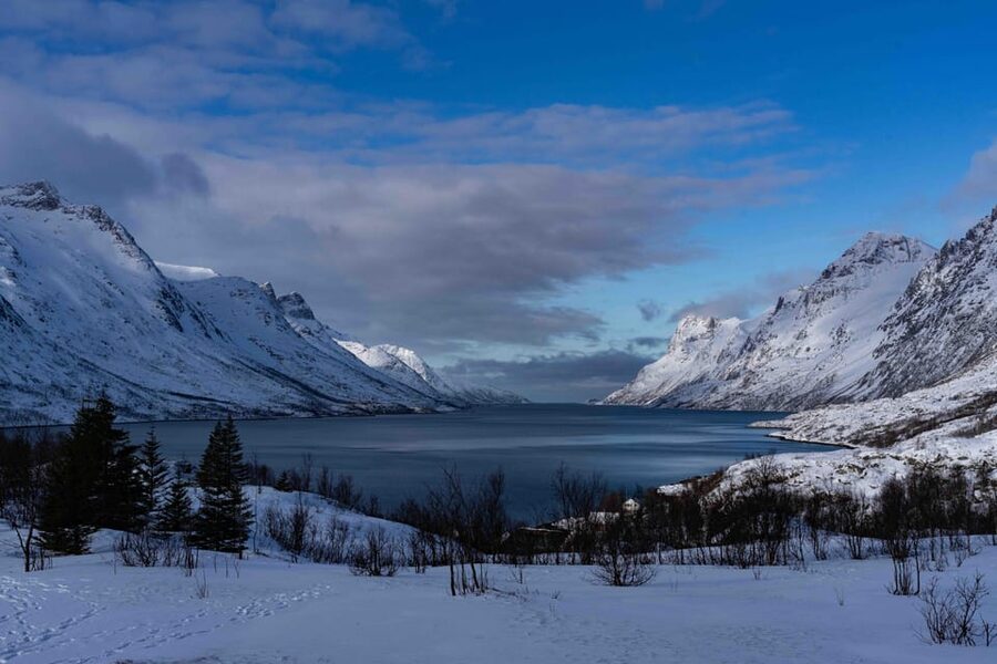 Tromsø: Fjords & Beaches Tour with Campfire and Arctic Food - Wildlife watching without guarantees