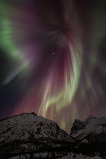 Tromsø: Fjords & Beaches Tour with Campfire and Arctic Food - Homemade chai, cookies, and the personal touch