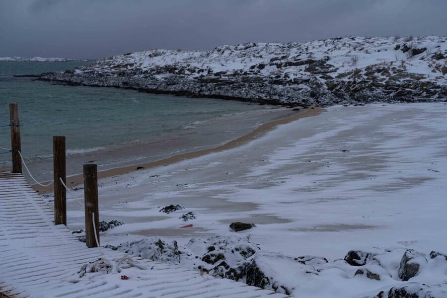 Tromsø: Fjords & Beaches Tour with Campfire and Arctic Food - Is $304 fair for seven hours?