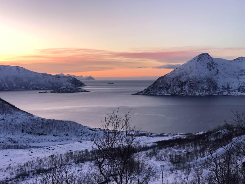 Tromsø: Fjords & Beaches Tour with Campfire and Arctic Food - Who will enjoy this most?