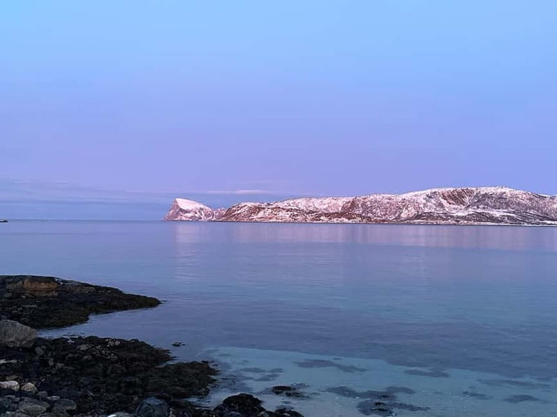 Tromsø: Fjords, Mountains and City Highlights Day Tour - Key points to know before booking