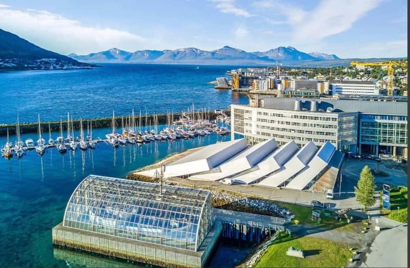 Tromsø: Fjords, Mountains and City Highlights Day Tour - Tromsø sights: Arctic Cathedral and more