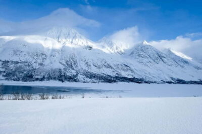 Fjords, Mountains and City Highlights Day Tour
