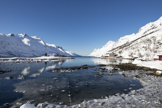 Tromso fjords road trip with fire in grill cabin by the beach. - Why the small group and guide matter