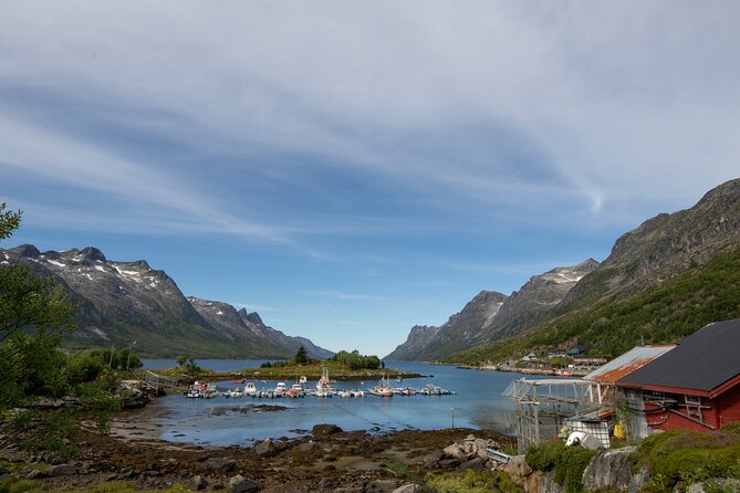 Tromso fjords road trip with fire in grill cabin by the beach. - Is $137.07 a fair price?