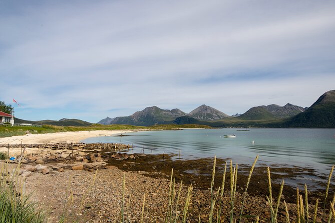 Tromso fjords road trip with fire in grill cabin by the beach. - Who will enjoy this road trip most?