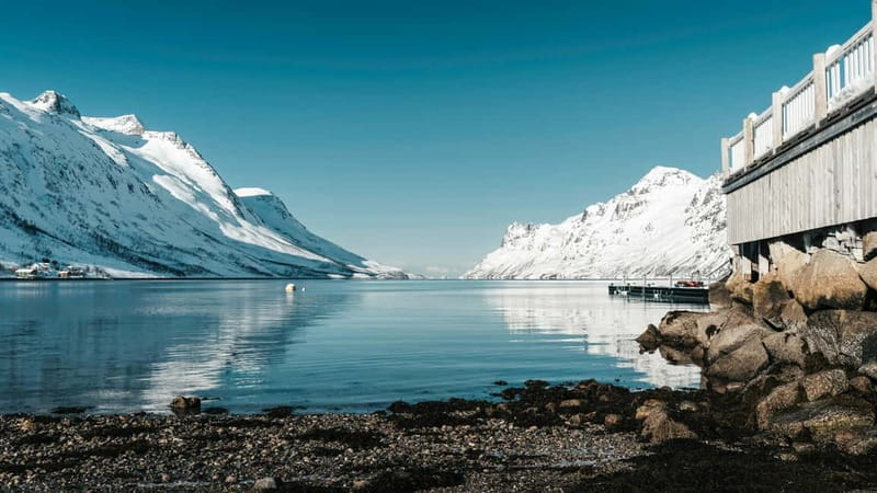 Tromsø: Fjords & Sommarøy Tour with Warm Local Lunch Option - Ersfjordbotn adds time for wildlife and photographs