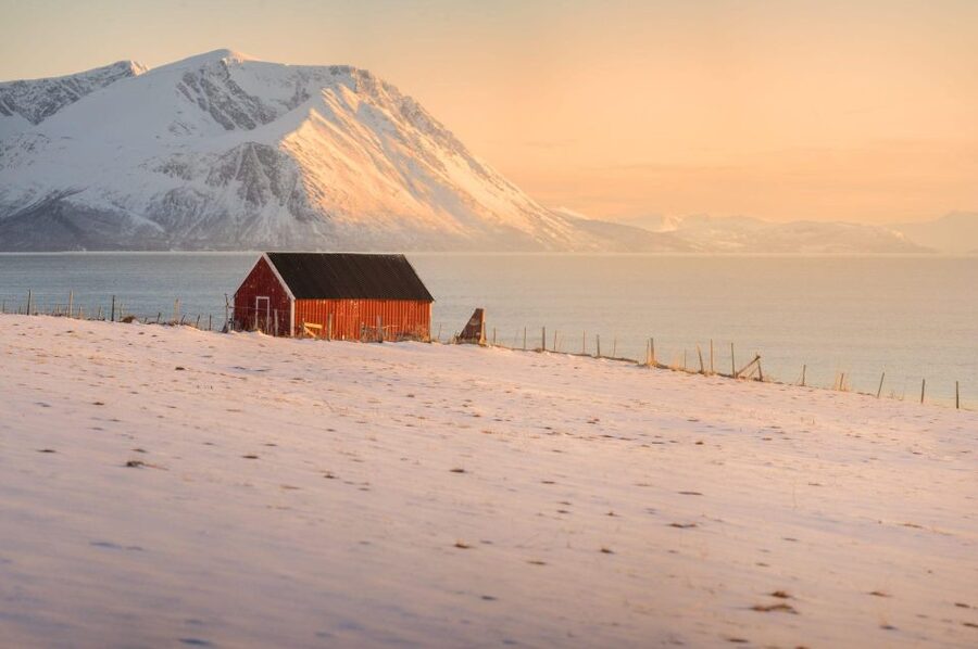Tromsø: Fjords Tour - Key Points Before You Book