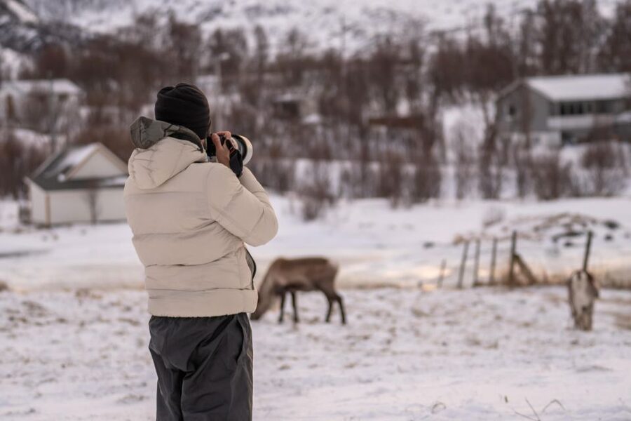 Tromsø: Fjords Tour - Why This Is a Good First Look at Northern Norway