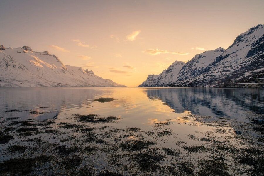 Tromsø: Fjords Tour - Who Should Book This Tour