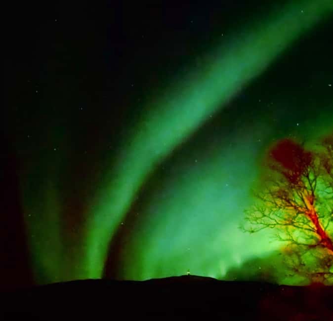 Tromsø: Guided Arctic Nature & Fjord Small Group Tour - Is $200 Per Person Good Value?