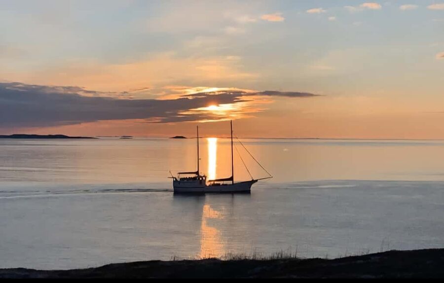 Tromsø: Guided Arctic Nature & Fjord Small Group Tour - Why This Five-Hour Route Works