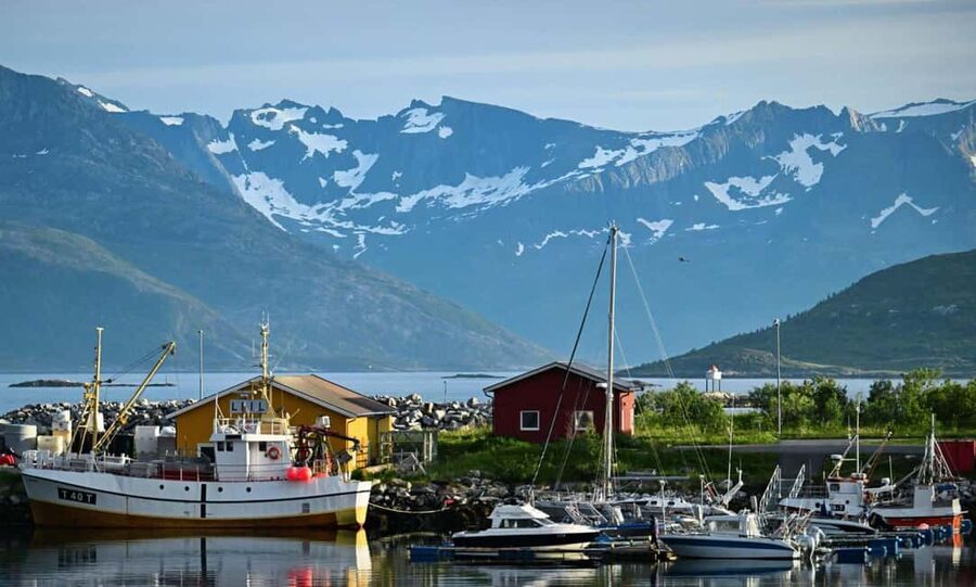 Tromsø: Guided Arctic Nature & Fjord Small Group Tour - Hella: Rock Carvings and Tidal Water