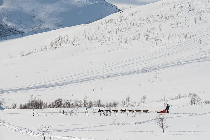 Tromsø: Kvaløya & Sommarøy Guided Fjord Tour with Lunch - Weather, windows, and outdoor comfort