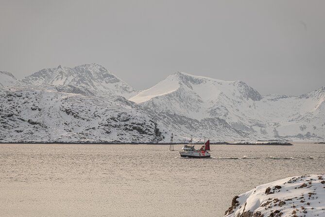 Tromsø: Kvaløya & Sommarøy Guided Fjord Tour with Lunch - Is $181.50 a fair price?