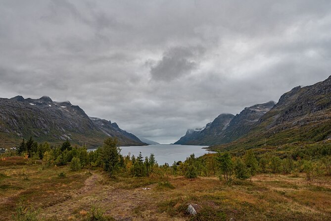 Tromsø: Kvaløya & Sommarøy Guided Fjord Tour with Lunch - Who will enjoy this Sommarøy tour most?