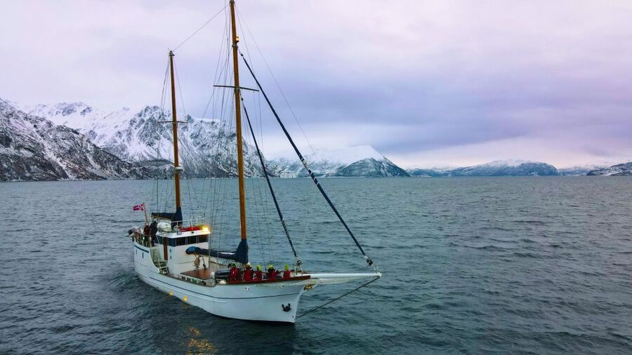 Tromsø: Luxury Polar Fjord Cruise w/ Hot Tub & Polar Plunge - The Warm Saloon and Two Outdoor Decks