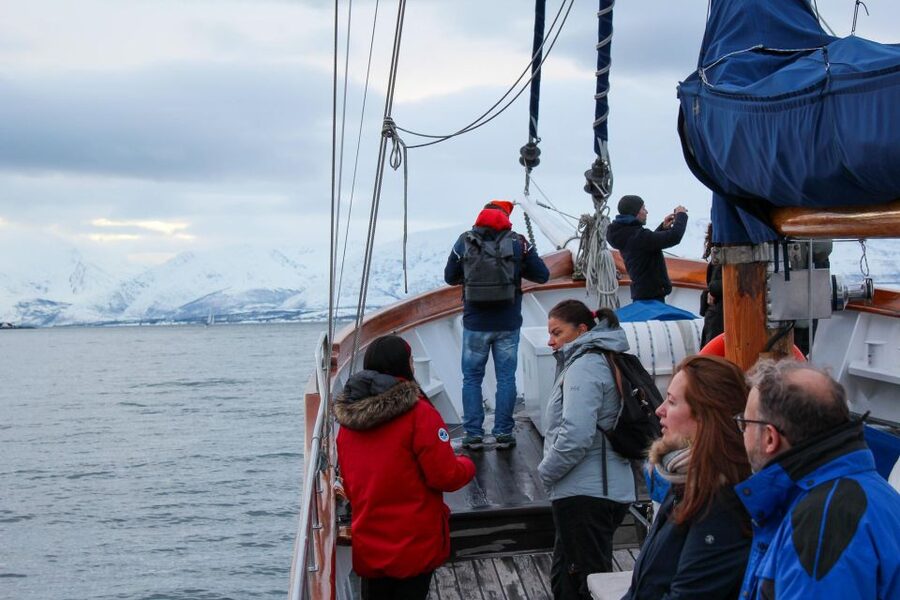 Tromsø: Luxury Polar Fjord Cruise w/ Hot Tub & Polar Plunge - Is $281 a Fair Price?