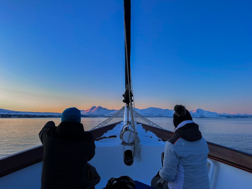 Tromsø: Luxury Polar Fjord Cruise w/ Hot Tub & Polar Plunge - Four and a Half Hours Through Balsfjorden