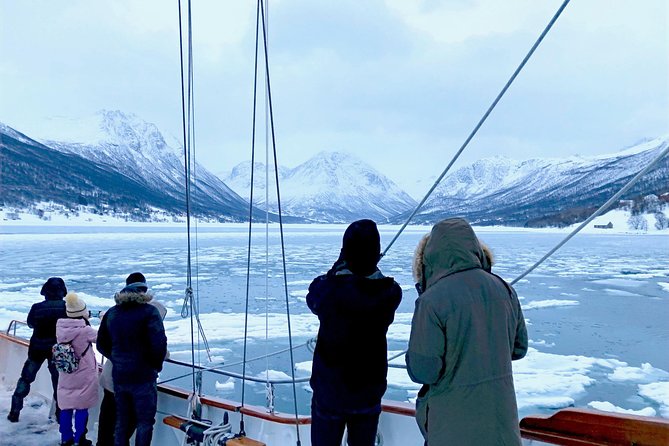 Tromso Luxury Sailing Yacht Polar Fjord Cruise with Lunch - How the cruise compares with a fjord bus trip