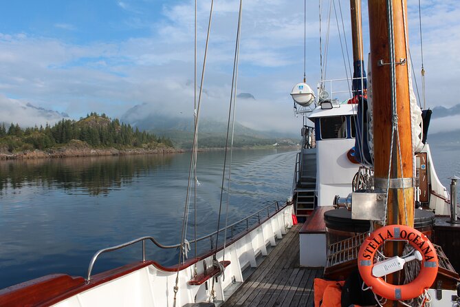 Tromsø Luxury Summer Fjord Cruise with Lunch - Who should book this cruise?