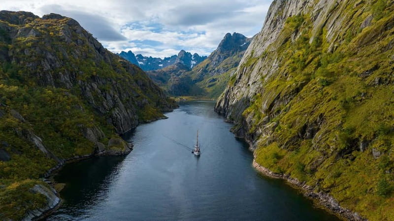 Tromsø: Luxury Summer Fjord Cruise with Lunch & Hot Tub - Wildlife watching from a quiet deck