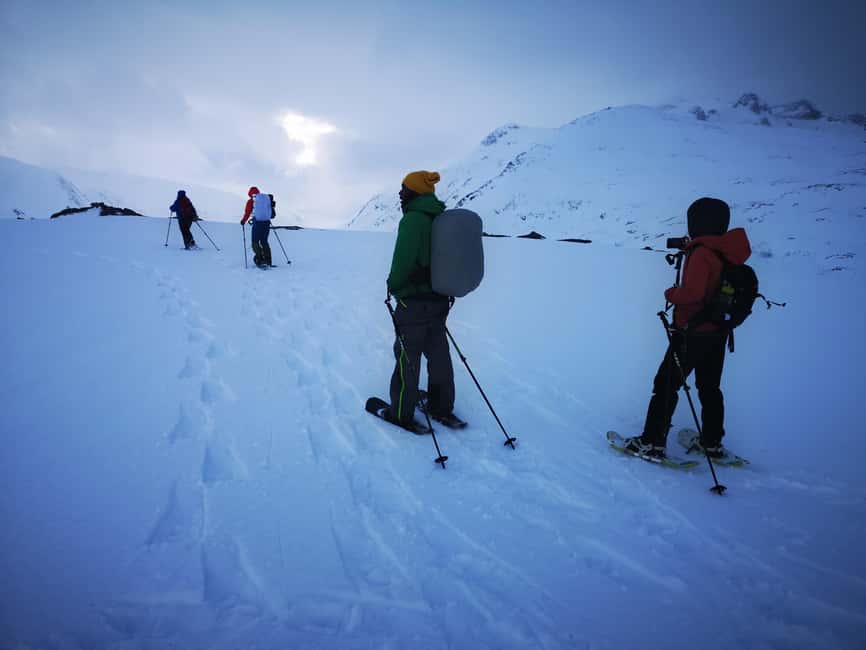 Tromsø: Midnight Fjord Tour - Key Points Before You Book