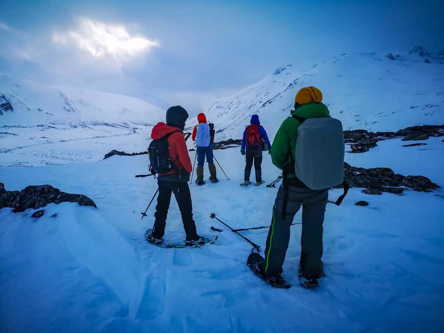 Tromsø: Midnight Fjord Tour - Sommarøy Island and Its White Beaches