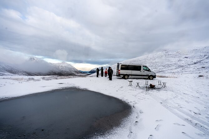 Tromsø Private Arctic Fjord Tour Cruise Excursion Free Pickup - A private half-day from Tromsø’s cruise port