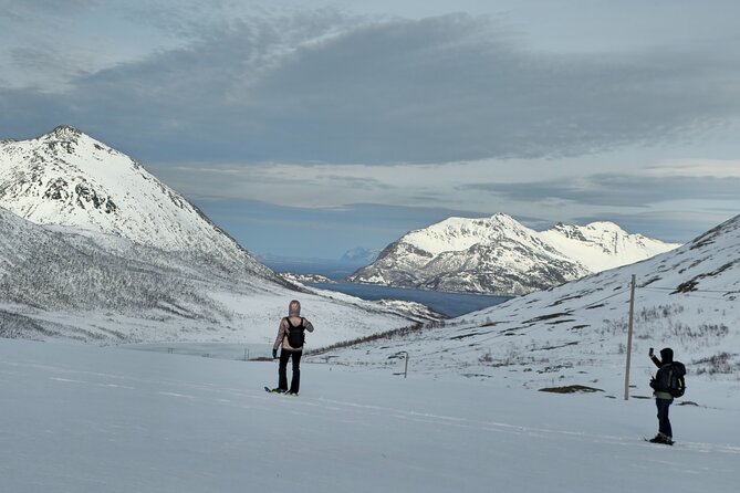 Tromsø Private Arctic Fjord Tour Cruise Excursion Free Pickup - Tromvik: village life and a short shoreline walk
