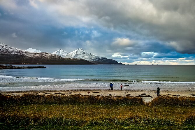 Tromsø Private Arctic Fjord Tour Cruise Excursion Free Pickup - Kvaløysletta: a final look at Kvaløya