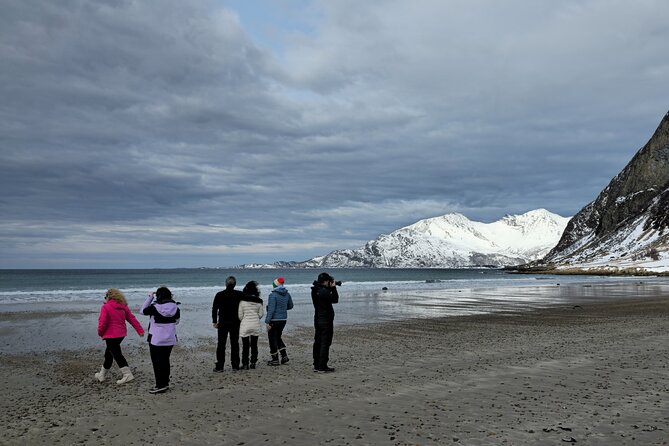 Tromsø Private Arctic Fjord Tour Cruise Excursion Free Pickup - What the short stops really offer