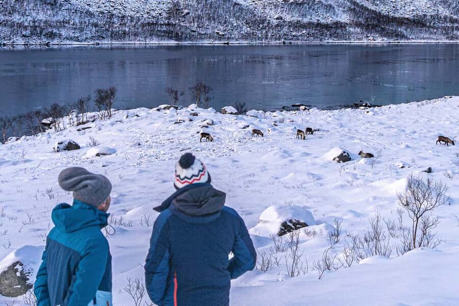 Tromsø: Senja Fjord Tour in Chinese/English Small-Group - Why Senja makes a rewarding day from Tromsø